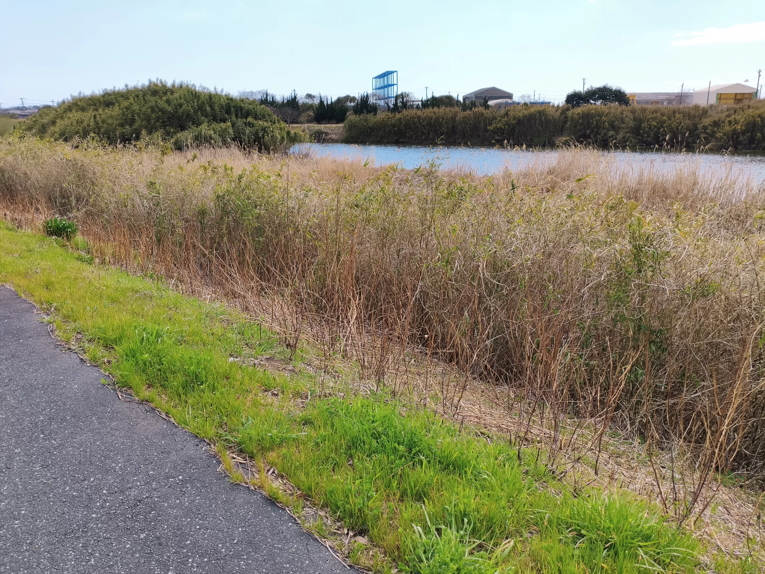 川沿いへ続く静かな散歩道と春の自然風景 もう少し自然にするなら 川へ続く田舎の散歩道と春の風景